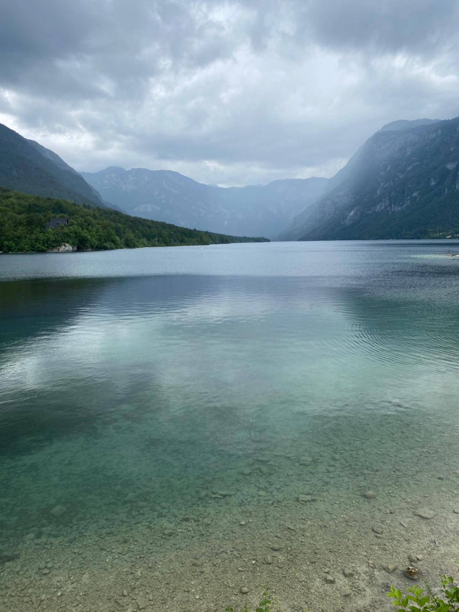 Luxury Apartment Near Lake Bohinj Dış mekan fotoğraf
